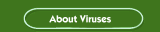 About Viruses