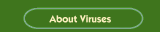 About Viruses